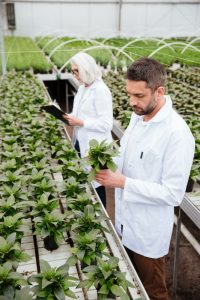 B.Sc in Food Technology in haryana