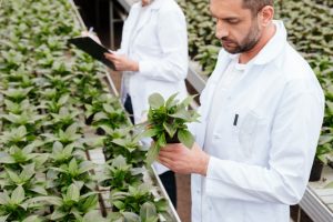 B.Sc in Food Technology in haryana