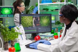 Bsc in food technology in north India